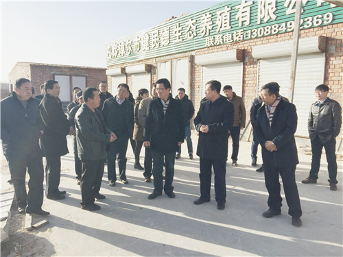 调研生态养殖场养鸡场