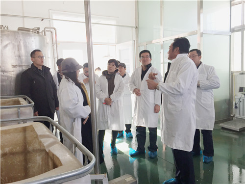 调研游牧一族生物科技有限公司